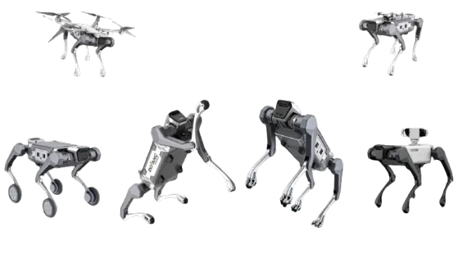 DLHR-Q2-Max Quadruped Robot